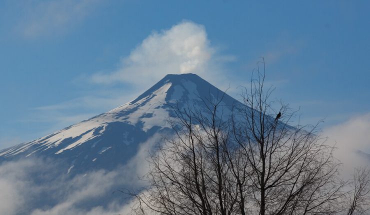 Volcán Villarrica: Alerta amarilla y Chile evalúa medidas