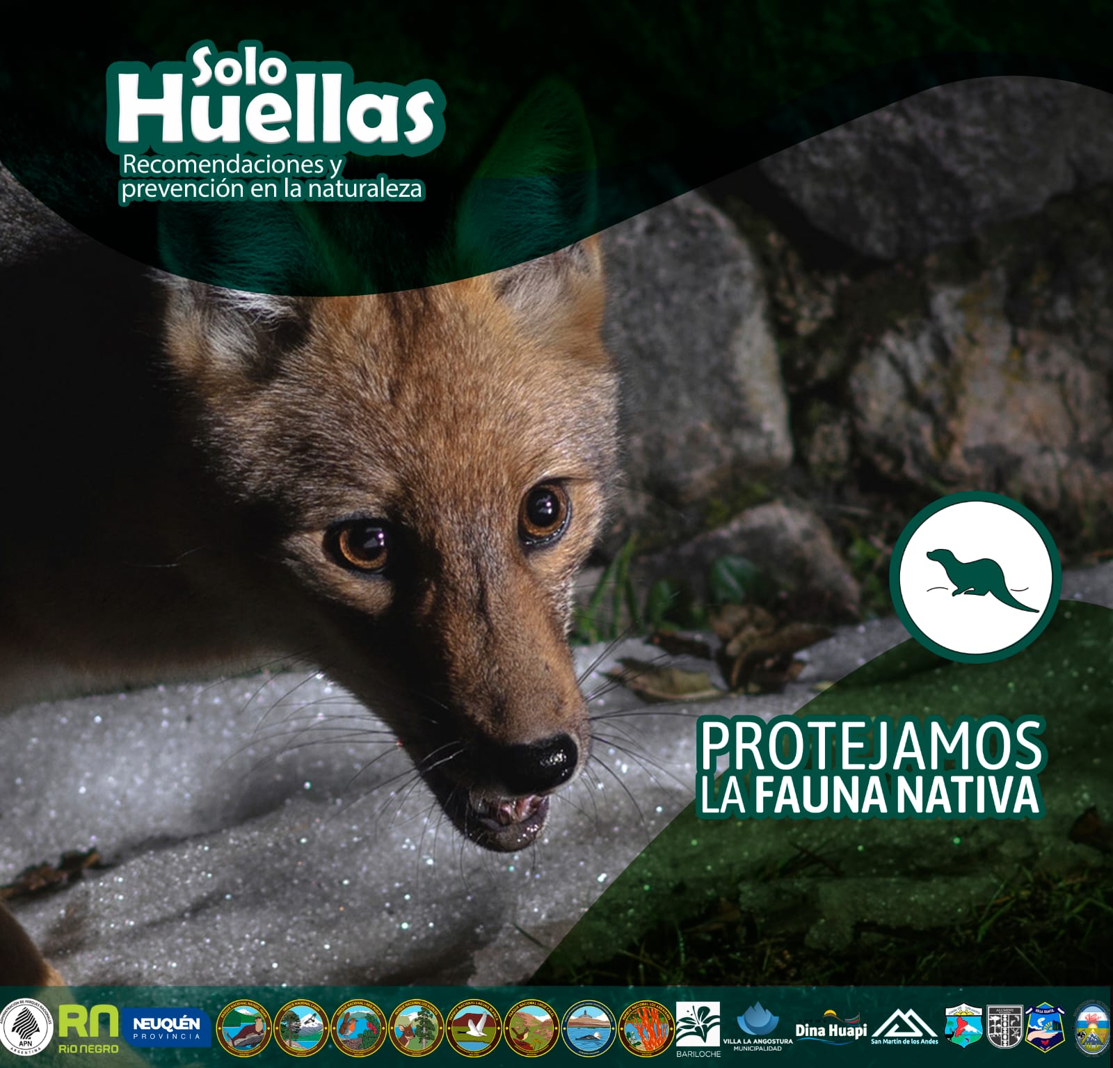 “Solo Huellas. Recomendaciones y cuidados en la naturaleza” – Protejamos a la fauna nativa