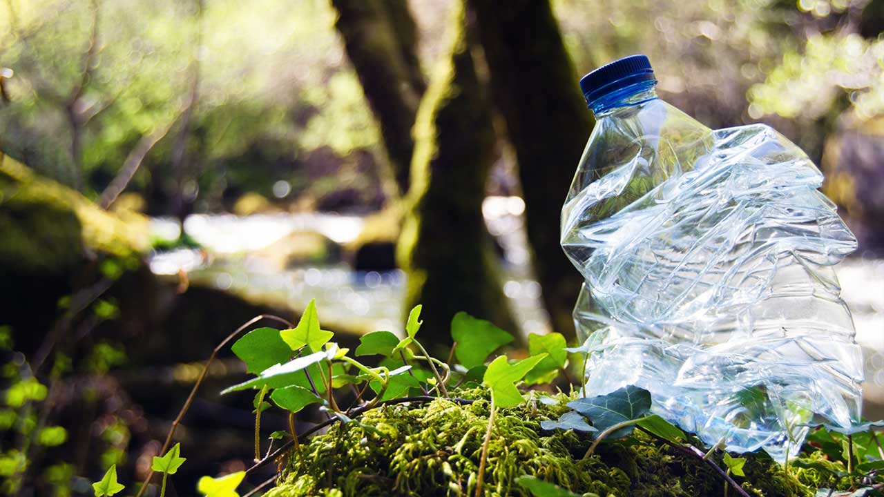 Comercio recuerda que deberán usarse envases reutilizables o biodegradables en la Fiesta de los Jardines