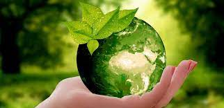 Día Mundial del Medio Ambiente: es hora de proteger el ambiente entero