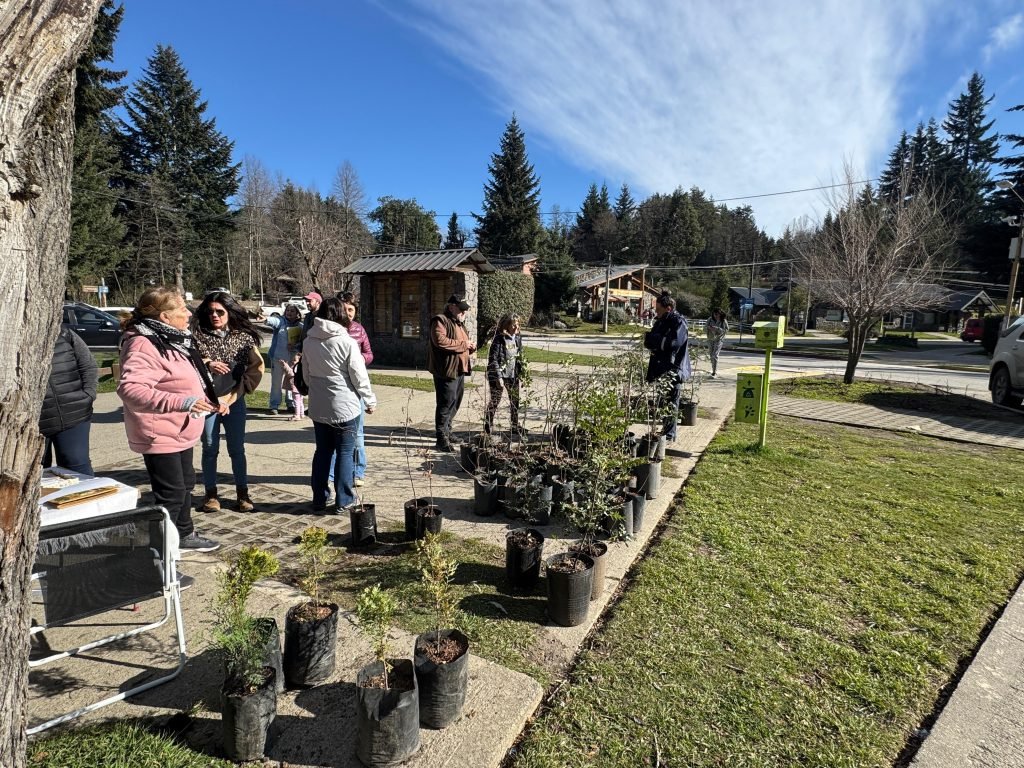 Entrega de árboles Nativos por el Día del Árbol.
