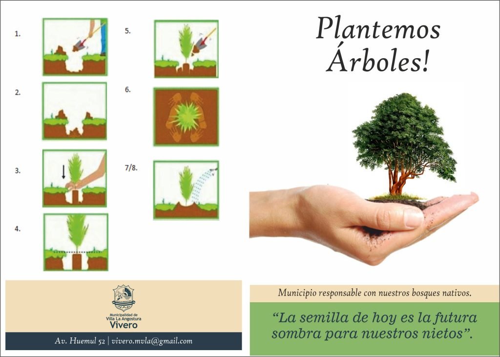 Plantemos Árboles Folleto Digital: