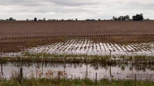 Campos inundados: “Hoy tenemos centenas de miles de hectáreas improductivas debajo del agua”