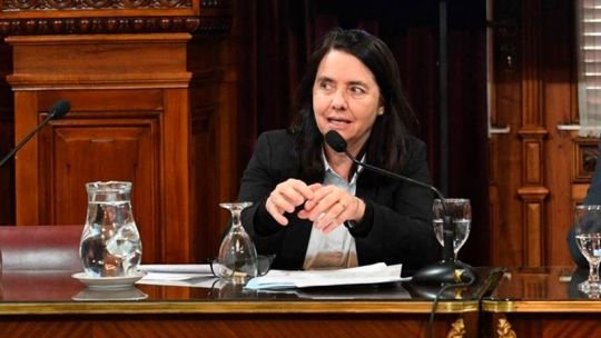 “No creo que los niños tengan derecho a ser curados en el Garrahan”, polémica declaración de una senadora