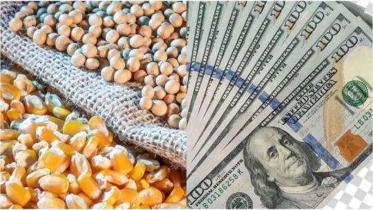 “6 de cada 10 dólares que ingresan al país provienen de las cadenas agroindustriales”
