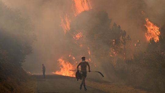 Catástrofe ambiental en España: más de 1100 fallecimientos por la ola de calor y pueblos enteros arrasados por las llamas