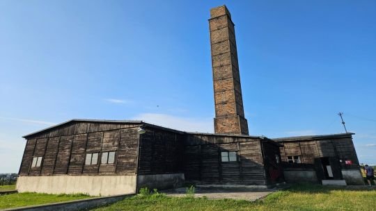 La crueldad es transversal