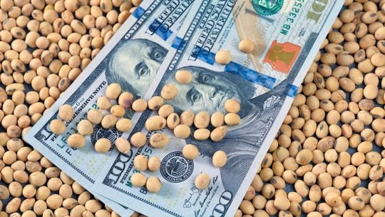 Gobierno anunció por redes sociales que elimina retenciones al campo hasta octubre para frenar la volatilidad del dólar