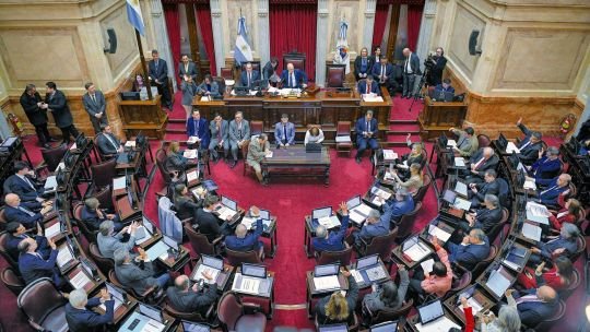El Senado tratará el veto presidencial a la ley de reparto automático de ATN, a pesar del intento del Gobierno por evitarlo