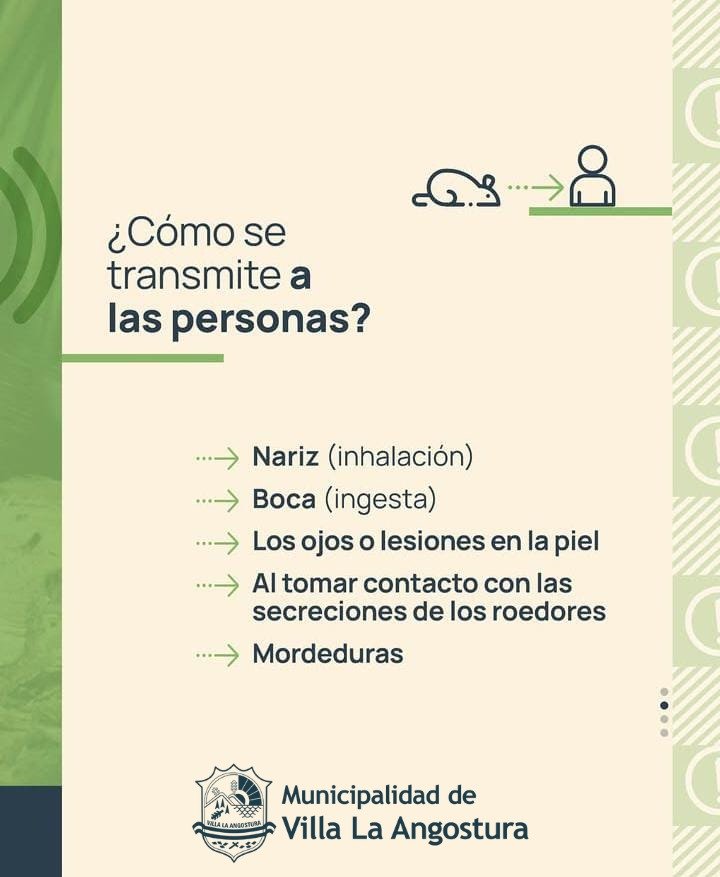 Prevencion y cuidados frente al Hantavirus.