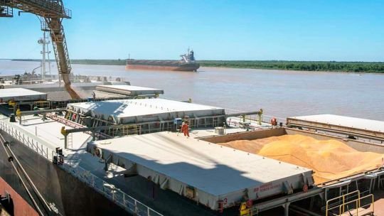 El Gobierno consiguió dólares para llegar hasta octubre pero a un alto costo