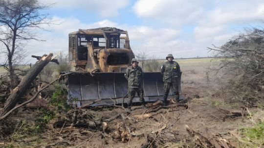 Chaco: secuestran topadora y cargamento ilegal de quebracho colorado en operativos forestales