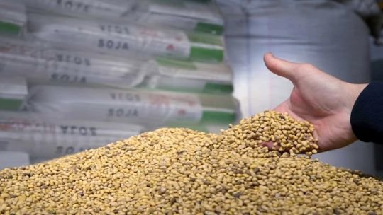 La reacción del agro sobre la quita de retenciones: “No fueron tan elogiosos respecto de la medida”