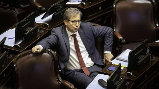 El jefe de los senadores radicales afirmó que ”estarían los votos” para rechazar el veto de Javier Milei a la ley de reparto de los ATN