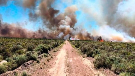 Se acerca el verano y advierten sobre posibles grandes incendios en la Patagonia