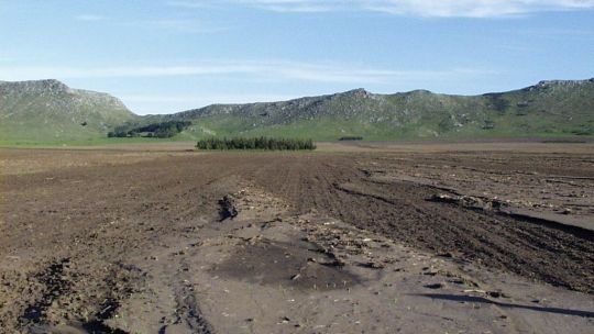 Agrónomos alertan por la degradación del suelo en Buenos Aires