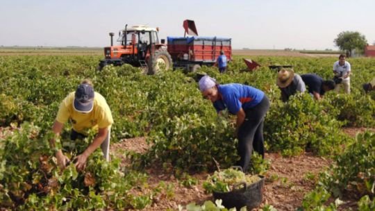 El Gobierno extendió el decreto que permite compatibilizar el trabajo rural con los planes sociales