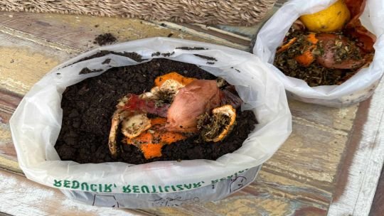 El plástico también tiene su eslabón perdido