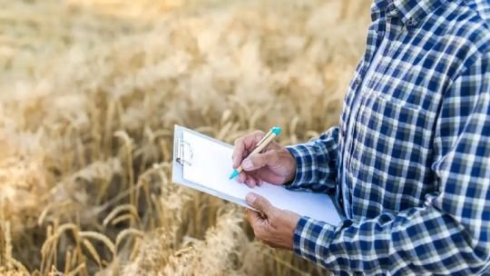 La mayoría de los productores del campo cree que Milei no podrá dar vuelta la derrota en PBA