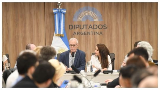 Privatización nuclear en la mira: expertos advirtieron en el Congreso sobre el futuro de Nucleoeléctrica