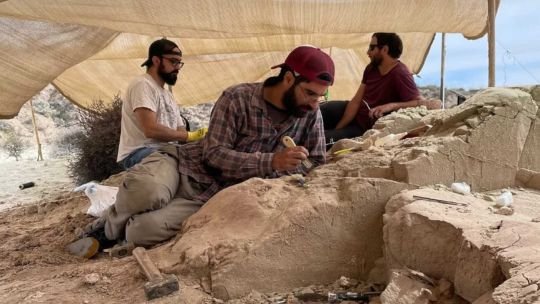 El CONICET comenzó la primera campaña transmitida en vivo para buscar fósiles de dinosaurios en la estepa patagónica