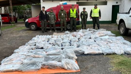 Mega decomiso en Corrientes: Gendarmería secuestró 950 kilos de pescados transportados sin habilitación
