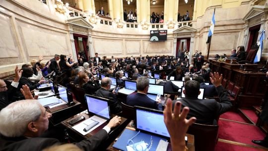 El Senado prepara otra sesión clave por los vetos al financiamiento del Garrahan y las universidades