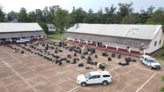 Decomiso millonario en Corrientes: Gendarmería incautó 489 neumáticos y 18 mil paquetes de cigarrillos
