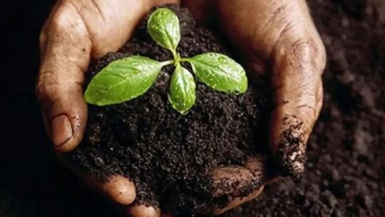 La situación de los suelos en Argentina: “El país está absolutamente negativo en todos los nutrientes”