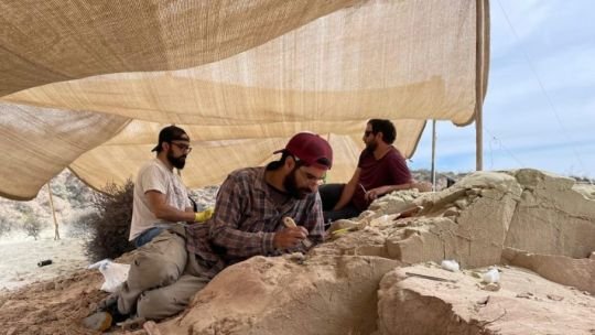 Investigadores del Conicet hallaron un huevo de dinosaurio carnívoro en un estado de preservación casi perfecto