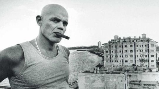 Reposo del animal tropical