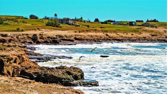 Escapadas naturales: 3 playas paradisíacas a menos de 5 horas de CABA para ir el próximo fin de semana largo