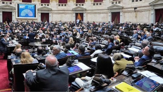 La “motosierra” llegó al garaje del Congreso: rematan 20 autos oficiales