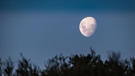 Superluna de noviembre 2025: cuándo y dónde observar la “Luna del Cazador”