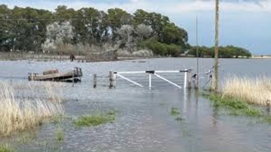ARBA definió la exención impositiva en 19 distritos bonaerenses: uno a uno, los municipios beneficiados