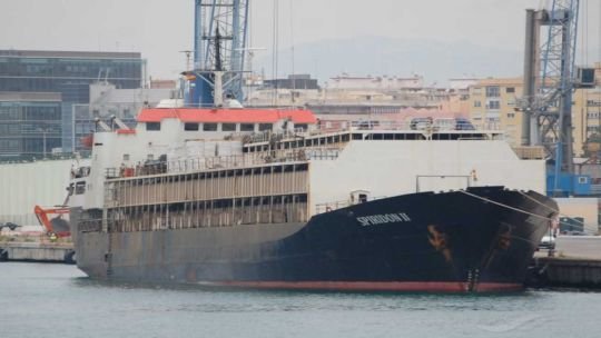 El buque con las vacas uruguayas espera poder “tirar” a los pobres animales en el Líbano