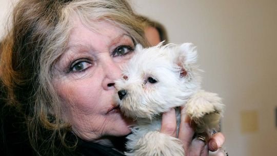 Brigitte Bardot y los animales: “son el único orgullo de mi vida”