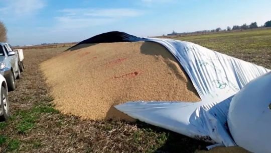 Buscan incorporar al código penal la sanción de delitos en el agro: “Hay una situación de desamparo”