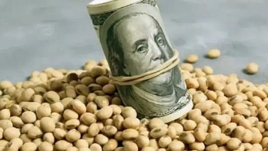 La actualización de las bandas cambiarias y su impacto en el agro: “Para el productor no le cambia absolutamente nada”