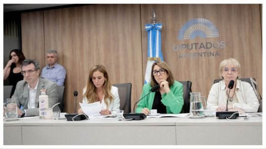 Fentanilo contaminado: Diputados presenta el informe final con nuevas leyes de control y contención a familiares