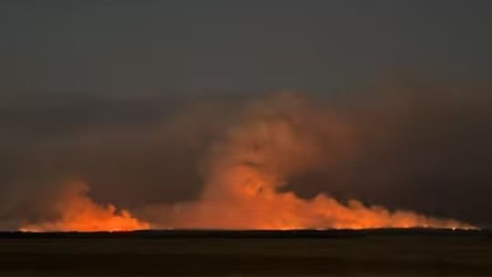 Incendios en La Pampa dejan al menos 83.000 hectáreas arrasadas
