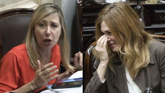 Myriam Bregman contra Lilia Lemoine: “¡Que se callen esas cacatúas!”