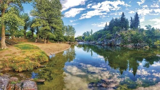 Argentina no es un caso clínico, sólo necesita dos cosas