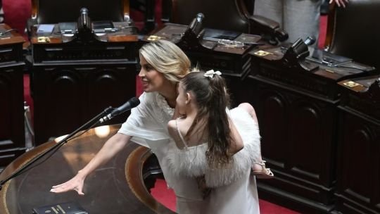 Diputados: el gesto de Virginia Gallardo a Milei y los juramentos políticos de González y Hadad