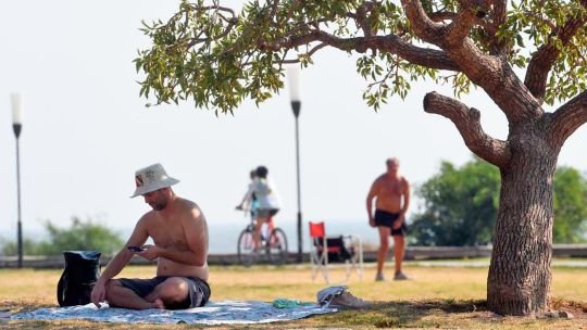 Buenos Aires pierde si no planta árboles