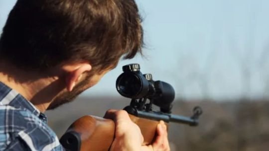 Alarma en el Iberá: videos muestran a cazadores furtivos dentro del Portal San Nicolás