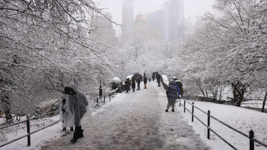 Qué es el vórtice polar, el fenómeno que explica la mayor tormenta de nieve en Estados Unidos en décadas
