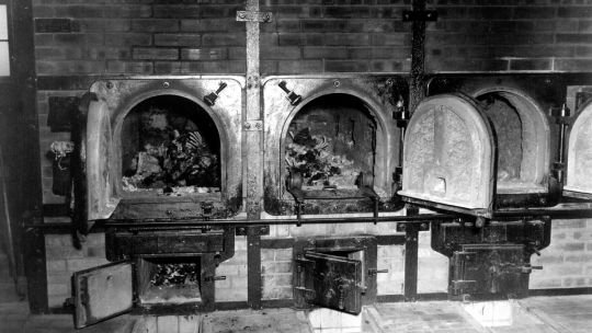 Historias que no deben olvidarse: el Día Internacional en Memoria de las Víctimas del Holocausto y su enseñanza para el mundo