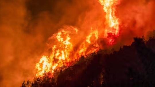 Emergencia Ígnea en la Patagonia: qué implica el decreto vigente, qué está prohibido y cómo prevenir incendios