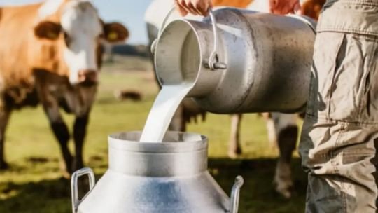 La clave para impulsar la industria láctea: “Hay que trabajar en exportación para que haya una distribución equitativa”